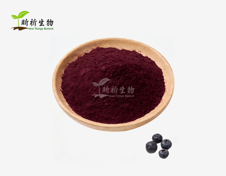 Blueberry Concentrate Powder
